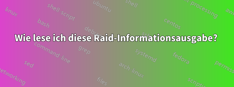 Wie lese ich diese Raid-Informationsausgabe?