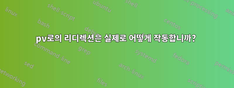 pv로의 리디렉션은 실제로 어떻게 작동합니까?