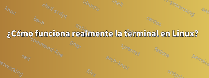 ¿Cómo funciona realmente la terminal en Linux? 