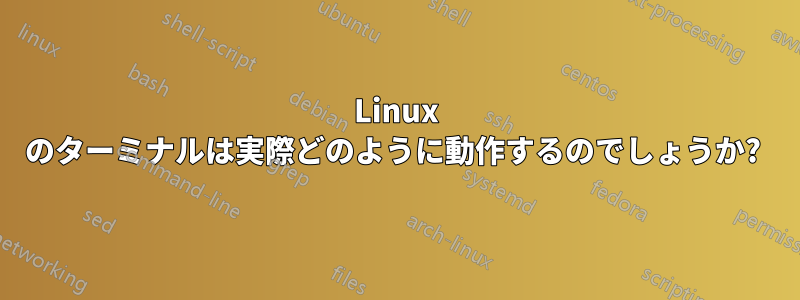 Linux のターミナルは実際どのように動作するのでしょうか? 