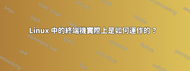 Linux 中的終端機實際上是如何運作的？ 