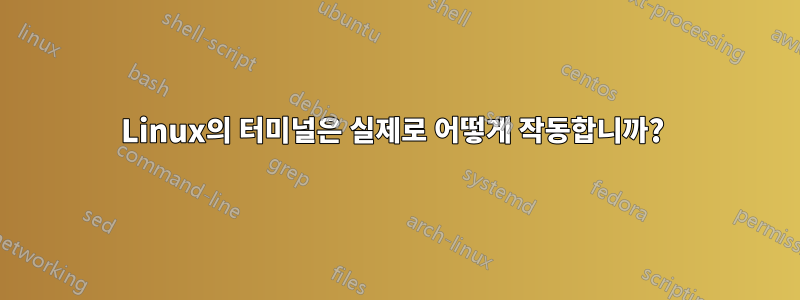 Linux의 터미널은 실제로 어떻게 작동합니까? 