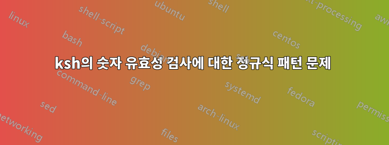 ksh의 숫자 유효성 검사에 대한 정규식 패턴 문제