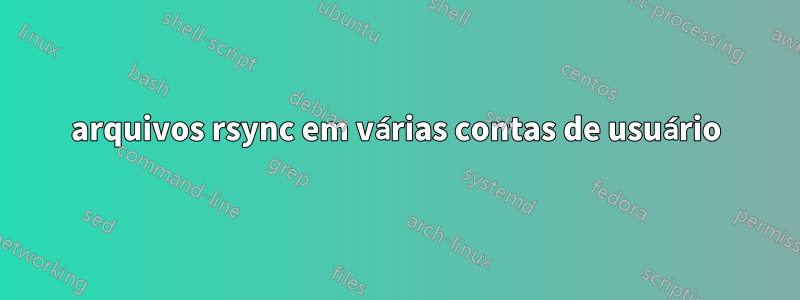 arquivos rsync em várias contas de usuário