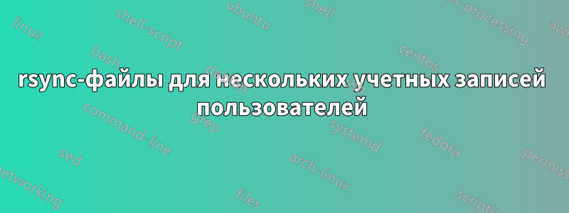 rsync-файлы для нескольких учетных записей пользователей