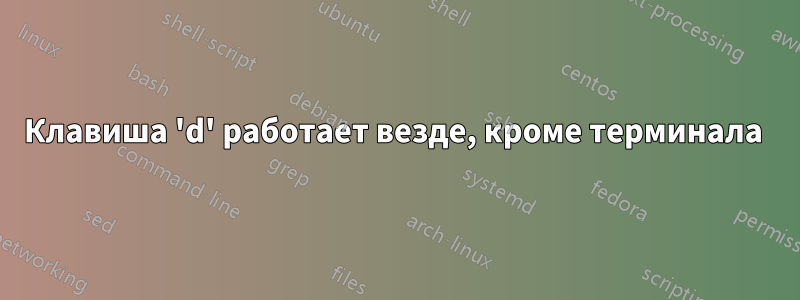 Клавиша 'd' работает везде, кроме терминала 