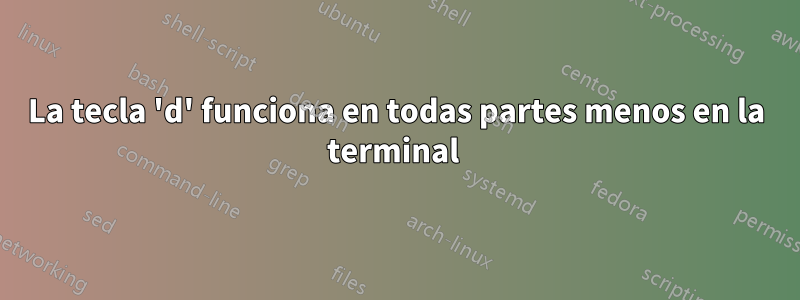 La tecla 'd' funciona en todas partes menos en la terminal 