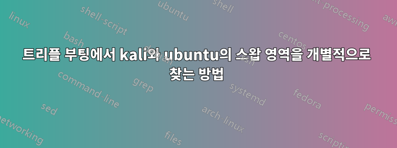 트리플 부팅에서 kali와 ubuntu의 스왑 영역을 개별적으로 찾는 방법