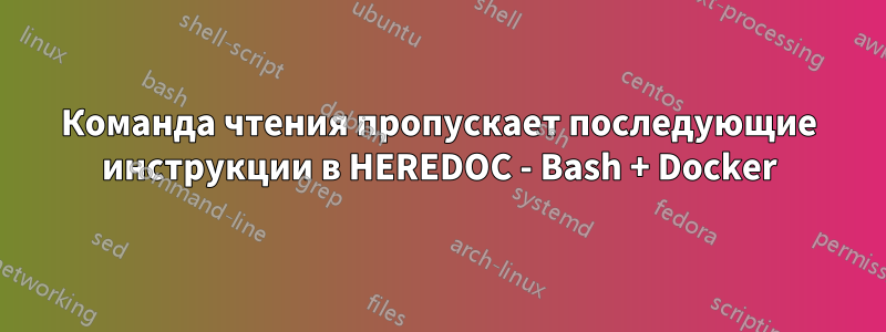 Команда чтения пропускает последующие инструкции в HEREDOC - Bash + Docker