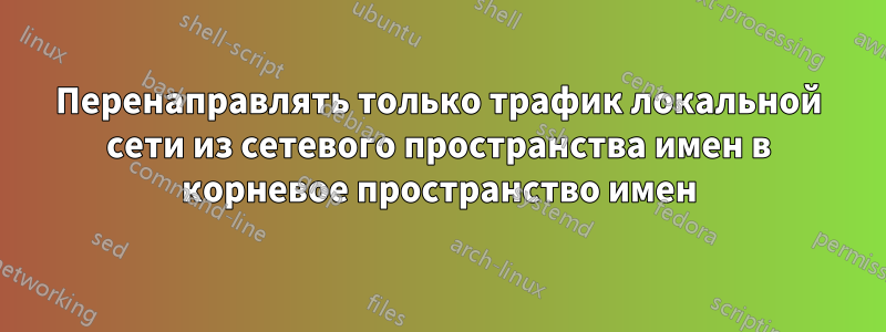 Перенаправлять только трафик локальной сети из сетевого пространства имен в корневое пространство имен