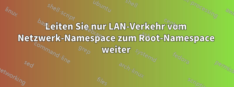 Leiten Sie nur LAN-Verkehr vom Netzwerk-Namespace zum Root-Namespace weiter