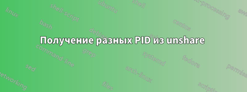 Получение разных PID из unshare