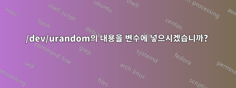 /dev/urandom의 내용을 변수에 넣으시겠습니까?