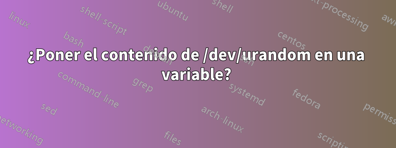 ¿Poner el contenido de /dev/urandom en una variable?