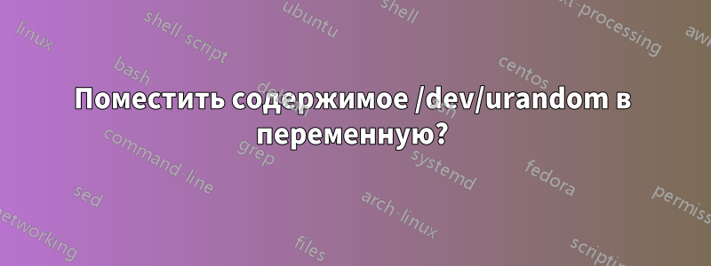 Поместить содержимое /dev/urandom в переменную?