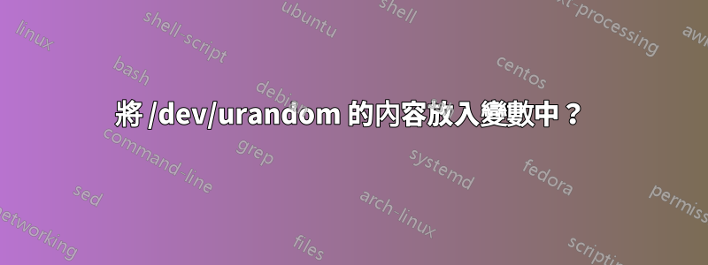 將 /dev/urandom 的內容放入變數中?