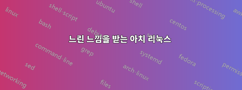 느린 느낌을 받는 아치 리눅스