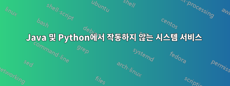 Java 및 Python에서 작동하지 않는 시스템 서비스