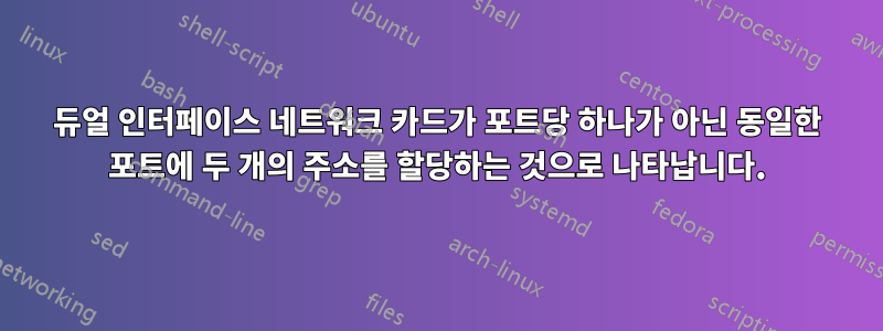 듀얼 인터페이스 네트워크 카드가 포트당 하나가 아닌 동일한 포트에 두 개의 주소를 할당하는 것으로 나타납니다.