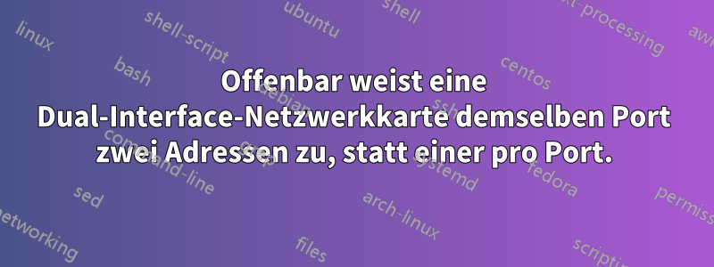 Offenbar weist eine Dual-Interface-Netzwerkkarte demselben Port zwei Adressen zu, statt einer pro Port.