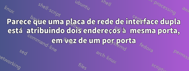 Parece que uma placa de rede de interface dupla está atribuindo dois endereços à mesma porta, em vez de um por porta
