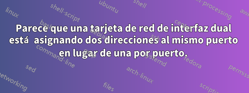 Parece que una tarjeta de red de interfaz dual está asignando dos direcciones al mismo puerto en lugar de una por puerto.
