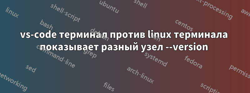 vs-code терминал против linux терминала показывает разный узел --version
