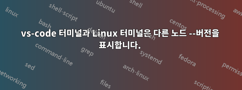 vs-code 터미널과 Linux 터미널은 다른 노드 --버전을 표시합니다.