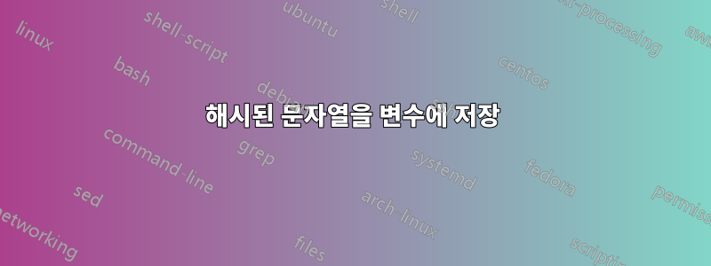 해시된 문자열을 변수에 저장