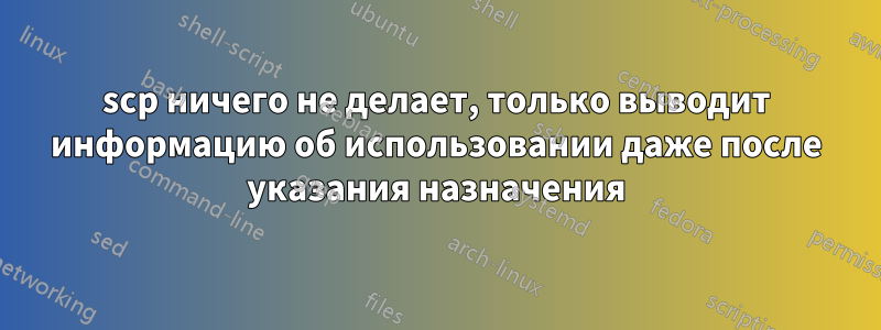 scp ничего не делает, только выводит информацию об использовании даже после указания назначения