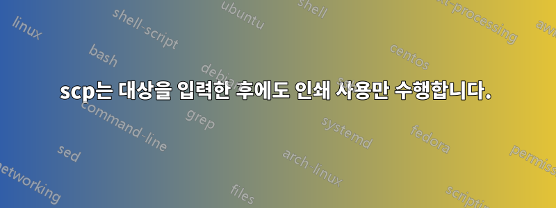 scp는 대상을 입력한 후에도 인쇄 사용만 수행합니다.