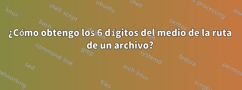 ¿Cómo obtengo los 6 dígitos del medio de la ruta de un archivo?