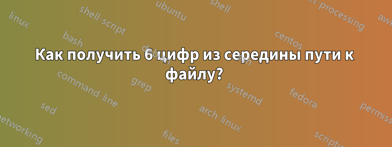 Как получить 6 цифр из середины пути к файлу?