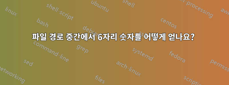 파일 경로 중간에서 6자리 숫자를 어떻게 얻나요?