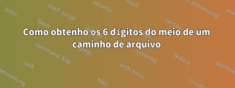 Como obtenho os 6 dígitos do meio de um caminho de arquivo