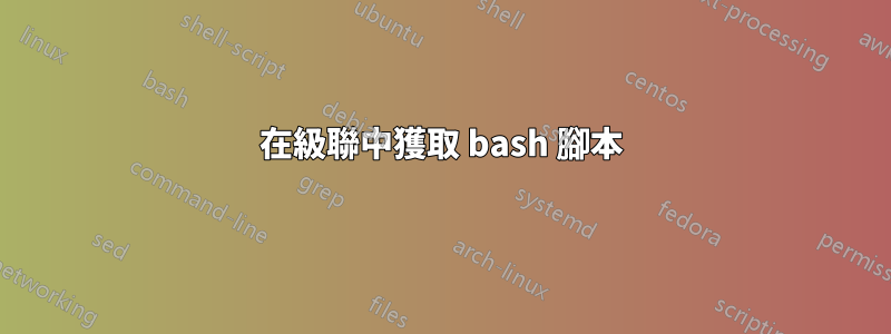 在級聯中獲取 bash 腳本