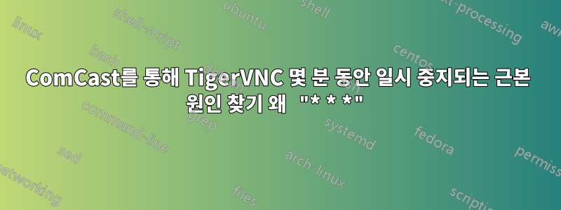 ComCast를 통해 TigerVNC 몇 분 동안 일시 중지되는 근본 원인 찾기 왜 "* * *"