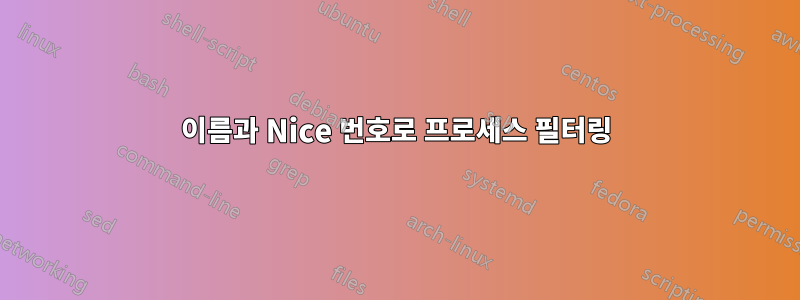 이름과 Nice 번호로 프로세스 필터링