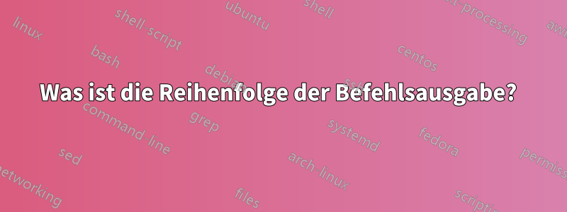 Was ist die Reihenfolge der Befehlsausgabe? 