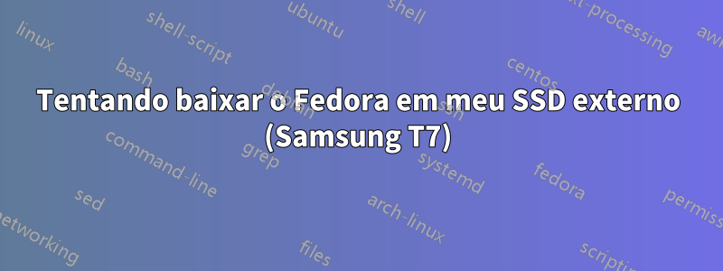 Tentando baixar o Fedora em meu SSD externo (Samsung T7)