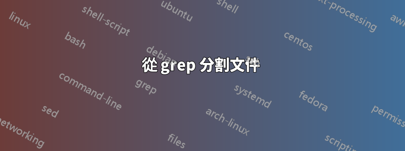 從 grep 分割文件