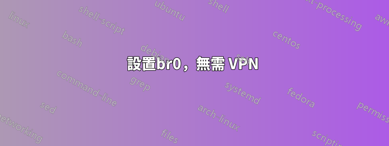 設置br0，無需 VPN