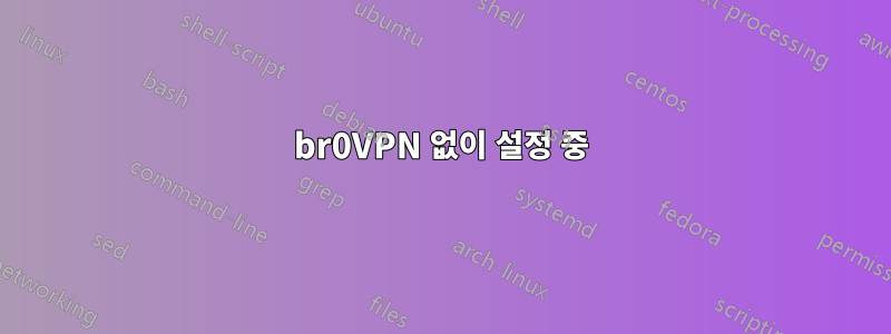 br0VPN 없이 설정 중