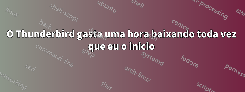 O Thunderbird gasta uma hora baixando toda vez que eu o inicio