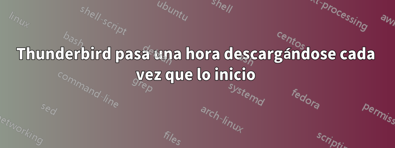 Thunderbird pasa una hora descargándose cada vez que lo inicio