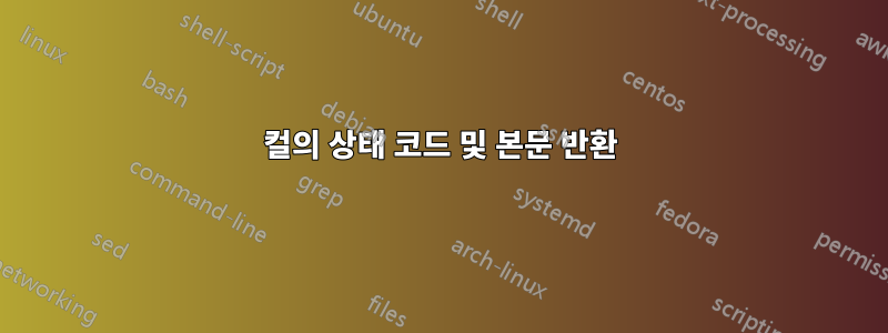 컬의 상태 코드 및 본문 반환