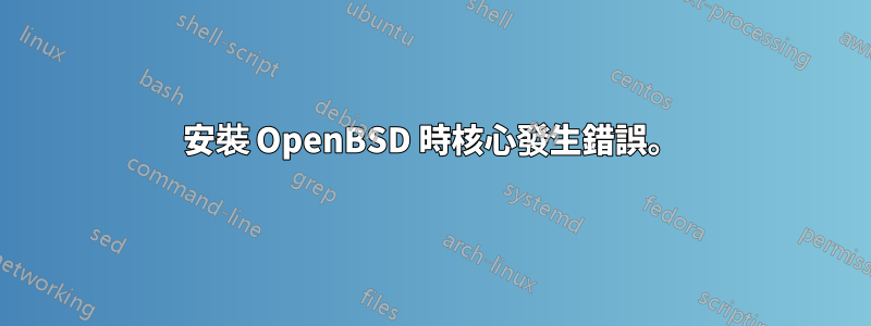 安裝 OpenBSD 時核心發生錯誤。