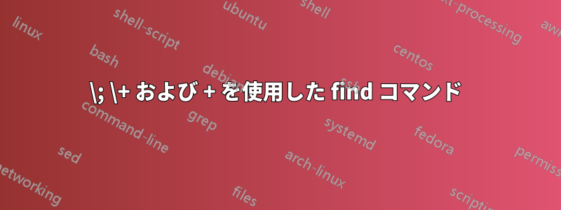 \; \+ および + を使用した find コマンド 