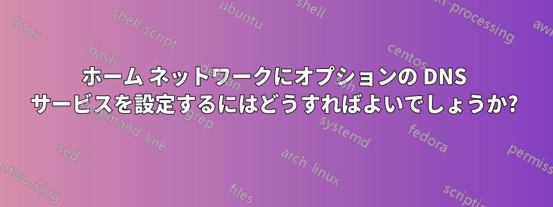 ホーム ネットワークにオプションの DNS サービスを設定するにはどうすればよいでしょうか?