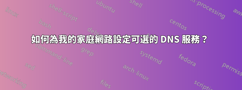 如何為我的家庭網路設定可選的 DNS 服務？